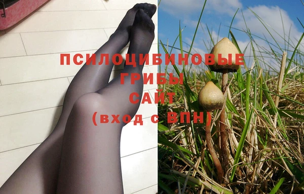 гидра Нягань