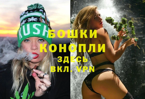 сатива Няндома