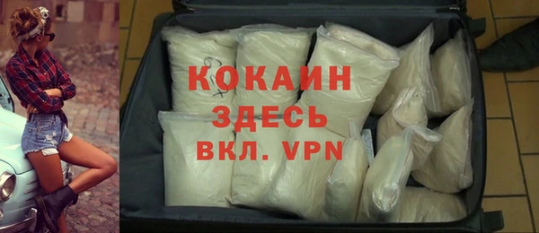 стафф Новодвинск