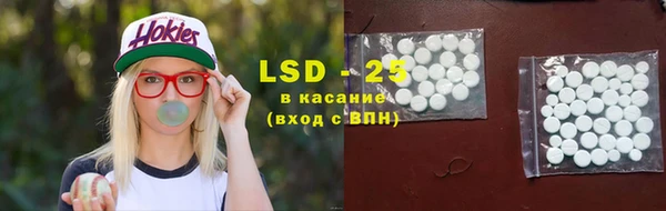 прущие грибы Нязепетровск
