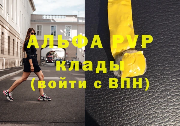 сатива Няндома