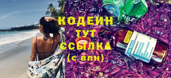 сатива Няндома