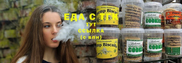 сатива Няндома