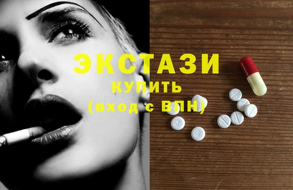 сатива Няндома