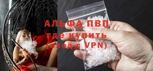 сатива Няндома
