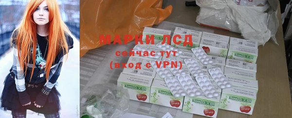 прущие грибы Нязепетровск