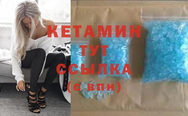 сатива Няндома