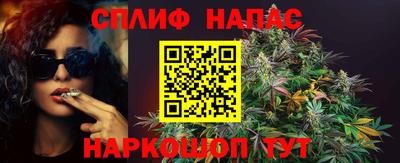 гашик Гусь-Хрустальный