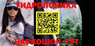 гашик Гусь-Хрустальный