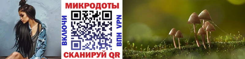 Галлюциногенные грибы Cubensis  Люберцы 
