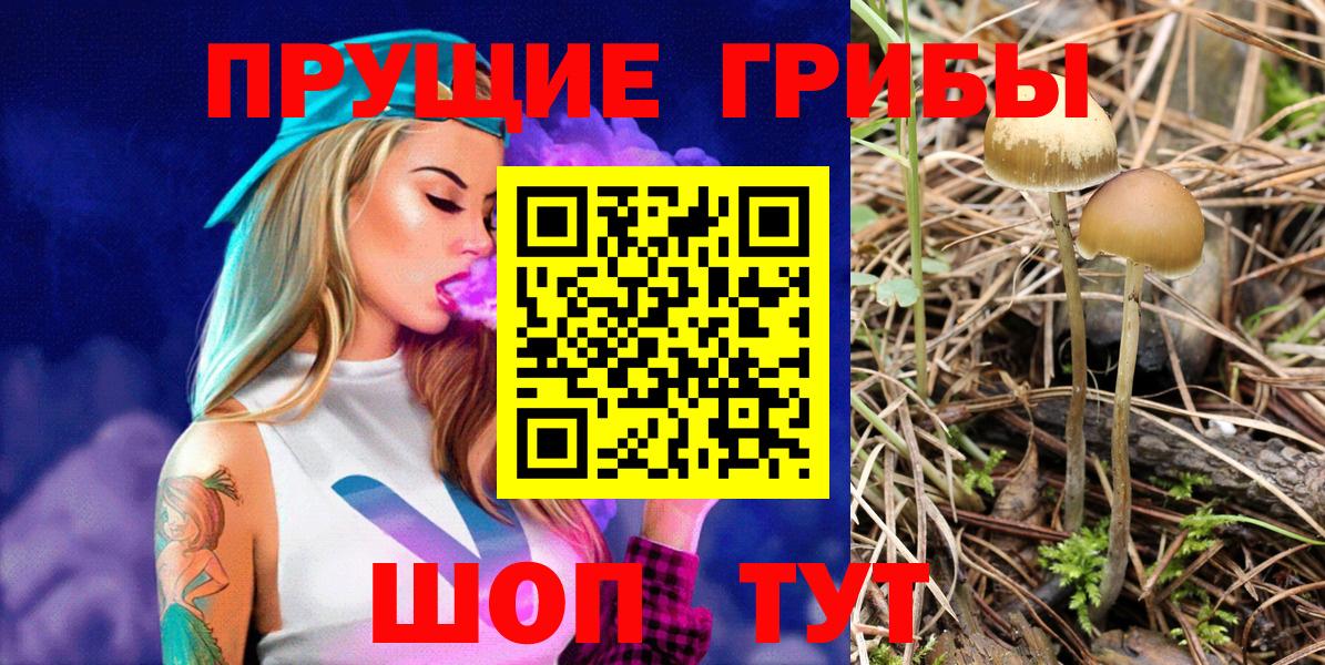 Псилоцибиновые грибы мицелий Люберцы