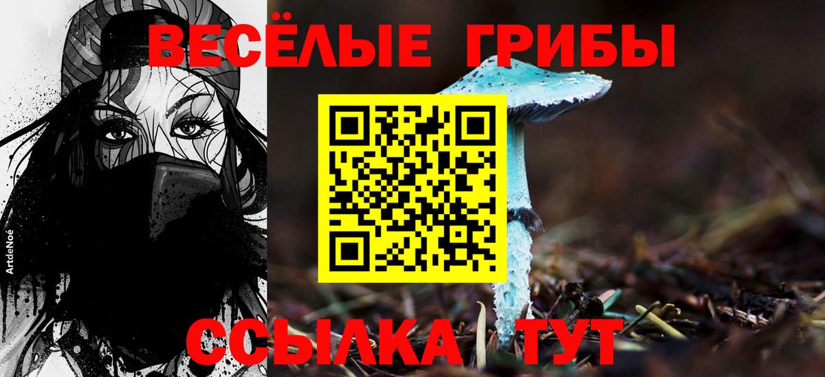 Псилоцибиновые грибы мицелий  продажа наркотиков  Люберцы  Вход с VPN 