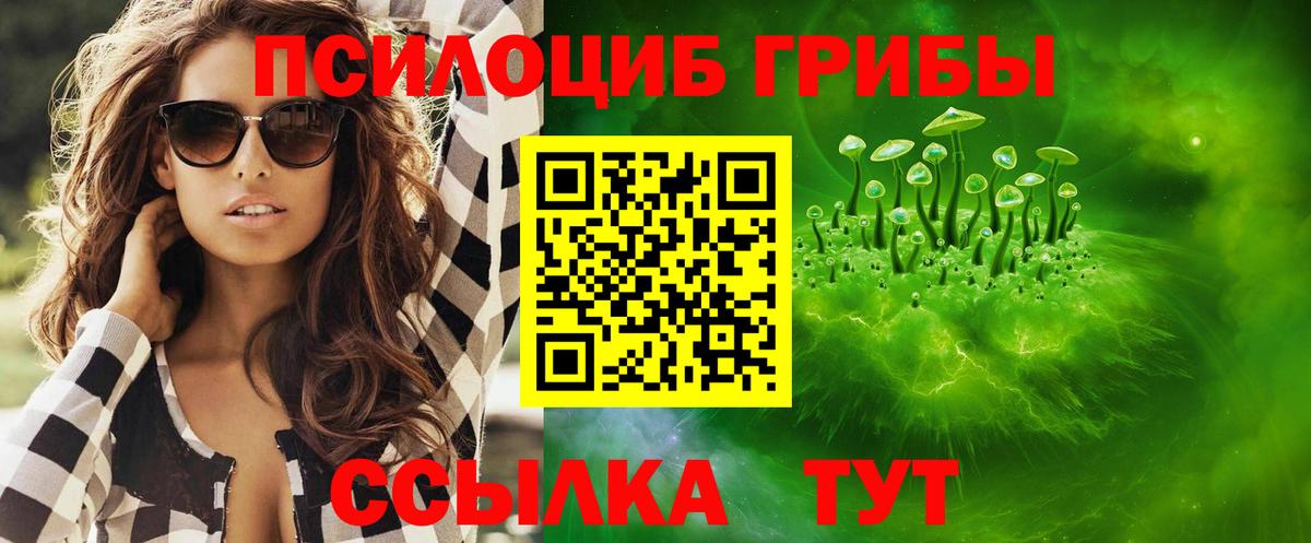 Псилоцибиновые грибы Psilocybe  Люберцы  Галлюциногенные грибы ЛСД 